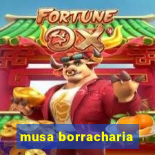 musa borracharia